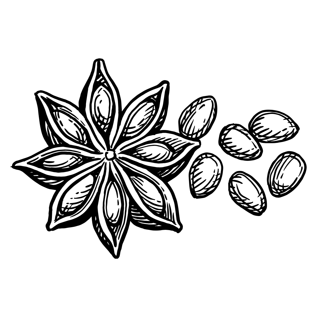 Black and white illustration of a star anise spice with seeds on a white background